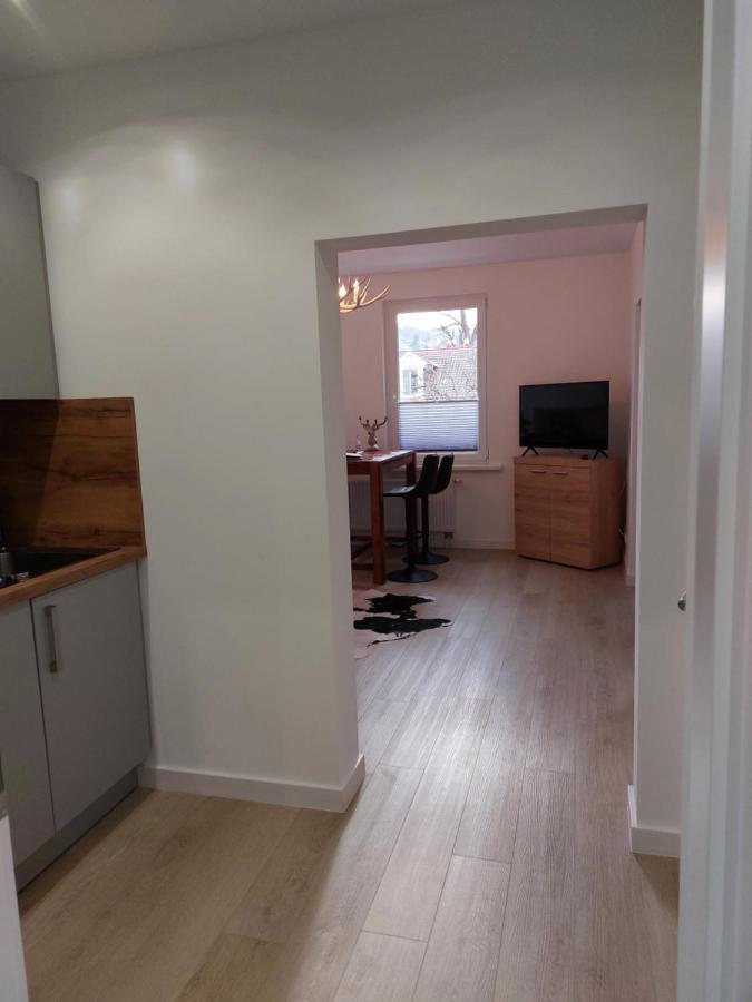 Ferienwohnung Am Jungbrunnen 2 Bad Harzburg Exteriör bild