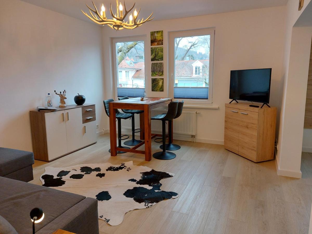 Ferienwohnung Am Jungbrunnen 2 Bad Harzburg Exteriör bild